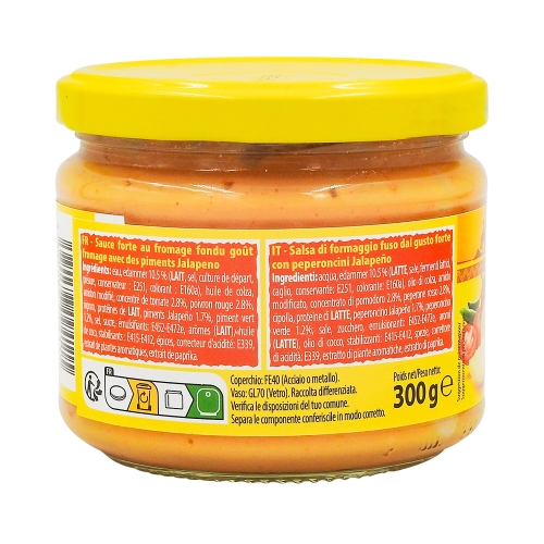 Sauce salsa nacho cheese 300 gr