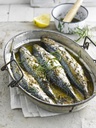 SUPER PROMO : Maquereaux à l'huile - 1 KG