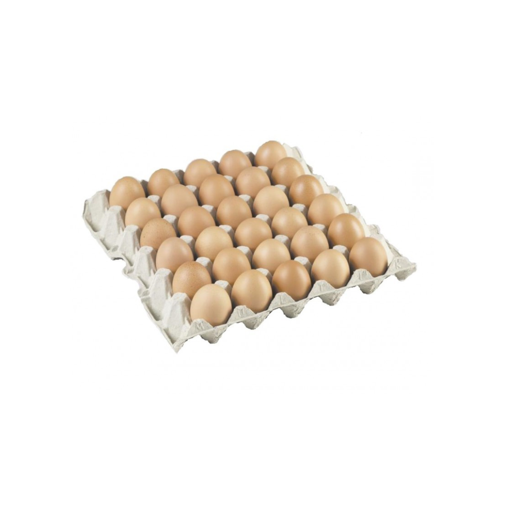 Œufs frais x30 - Lot de 30